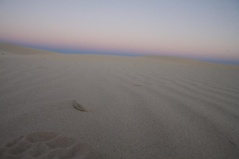 Ghost Town Sample Collection-11.jpg